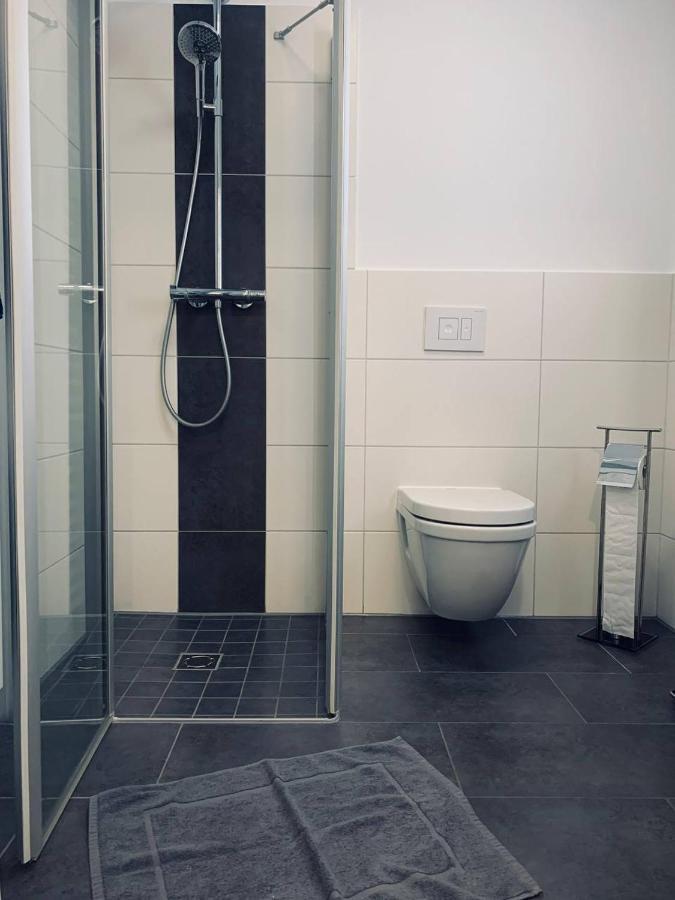 Mit Penthouse Charakter In Appartamento Dresda